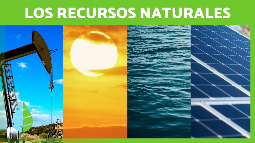 recursos naturales tipos